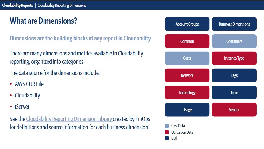 Reporting Dimensions slide