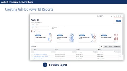 Ad Hoc Power BI Reports