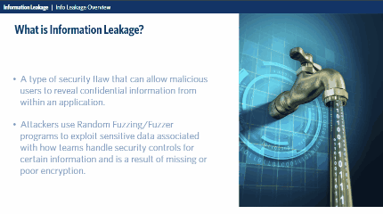 Information leakage overview
